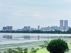 -金银湖国家城市湿地公园