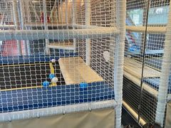 -广州中心皇冠假日酒店