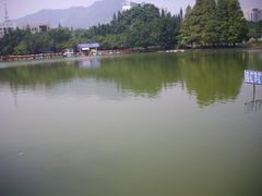 西湖，有小艇出租-四海公园(南山区)