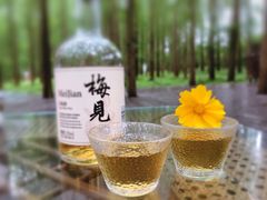 -黄海国家森林公园