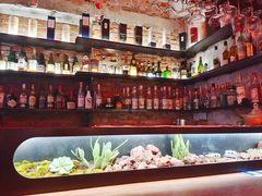 -鹿萤季·营地小馆(皇后公园店)