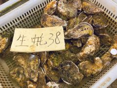 生蚝-红月湾海鲜饭店•沙滩海景(双月湾店)