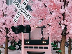 -金茂览秀城