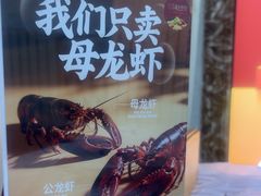 -徐嘉赫龙虾馆