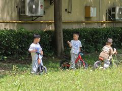 -凤岗南门山森林公园