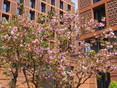 -浙江大学(紫金港校区)