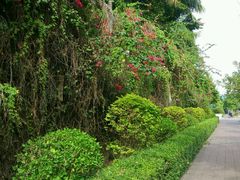 -帝源轩酒楼(卡瑞登店)