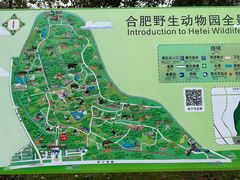 -合肥野生动物园