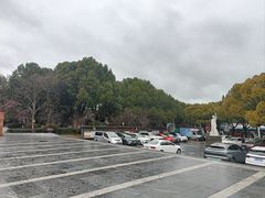 -汤山公园