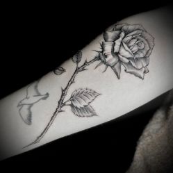 -PinooTattoo皮奴刺青纹身设计总部