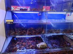 -虾铺子龙虾·私房菜(金源花苑店)