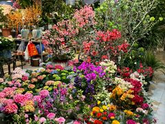 -双季花艺园艺市场(浦东店)