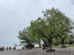 -洪泽湖古堰景区