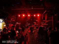 -育音堂音乐公园