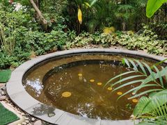 -碧桂园润杨溪谷温泉酒店