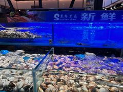 -苏格里岛自助海鲜烤肉(青秀万达店)