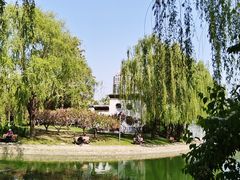 -团结湖公园