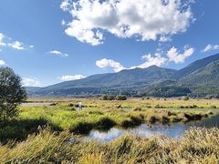 -腾冲北海湿地