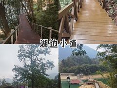 -广州市流溪河国家森林公园