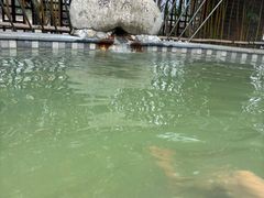 -三江森林温泉度假区