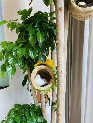 -新蝶变皮肤管理中心