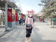 -石家庄市动物园