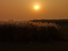 -盘龙城国家考古遗址公园