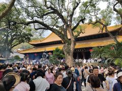 -普陀山慧济禅寺