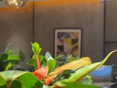 -半秋山西餐厅(宜昌大洋店)