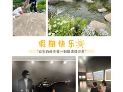 -罗红摄影艺术馆