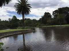 -悉尼歌剧院