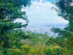 -灵玲国际马戏城