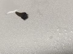 -书亦烧仙草(航海广场店)