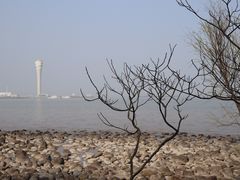 -上海吴淞炮台湾国家湿地公园