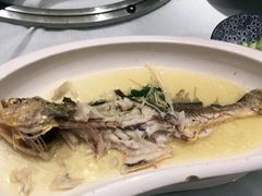 -席家花园(巨鹿花园店)