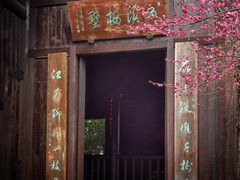 -西溪国家湿地公园