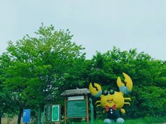 -泗洪洪泽湖湿地景区