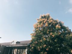 -凡德艺术街区