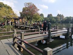 -西湖游船
