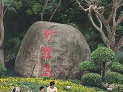 -野狸岛