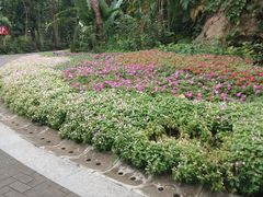 -人民公园(罗湖区)