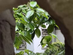 -秋霞圃