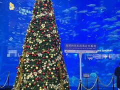 -成都浩海立方海洋公园