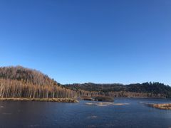 -五营国家森林公园