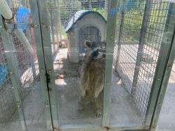 点击看大图 -萌宠亲子动物乐园(槐房万达店)