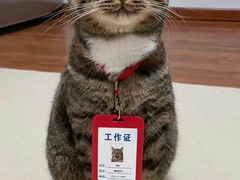 -龙湖南京江北天街