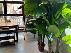-窦四牛杂面(总店)