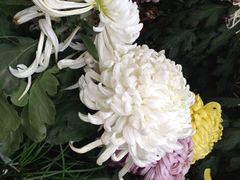 -汇龙潭