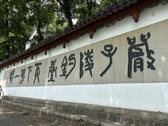 -雅鲁激流探险漂流