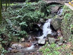 -莫干山风景区